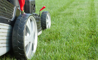Lawn Mowing